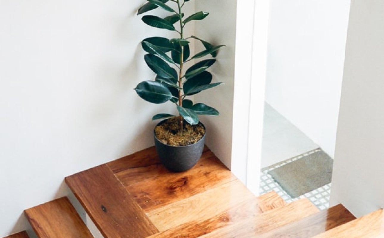 7 Home Trends That Will Shape Your House In