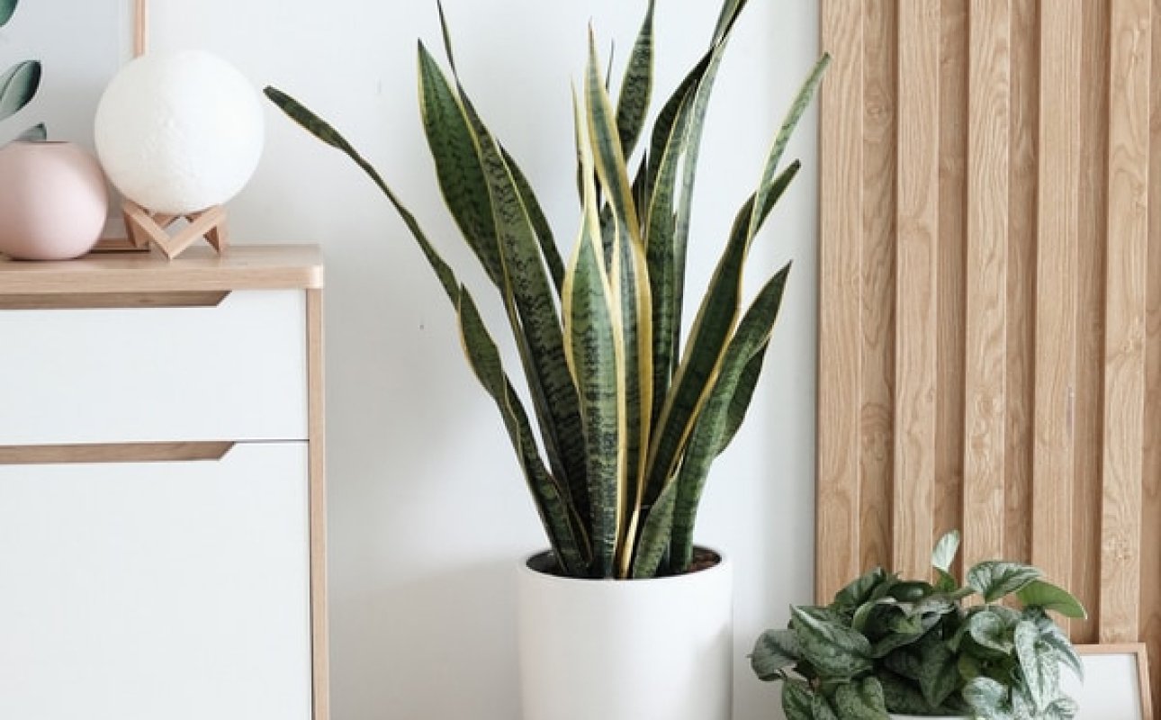 Space solutions and small apartment ideas